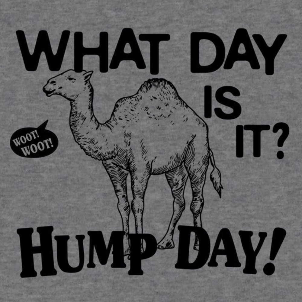 Unisex NWOT Gildan  What day is it? Hump Day Ultra Cotton Graphic Tee T-shirt